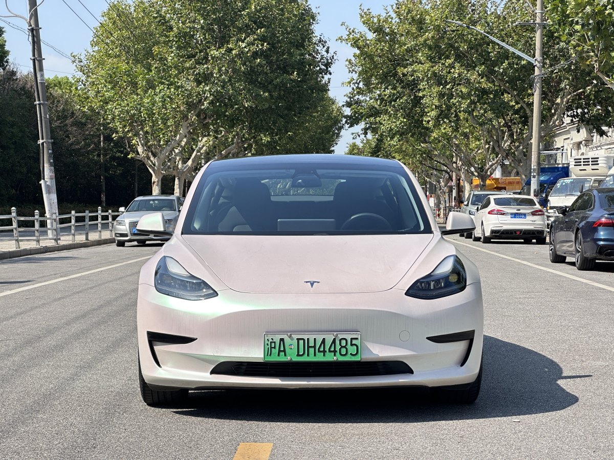 2021年1月特斯拉 Model Y  2021款 標(biāo)準(zhǔn)續(xù)航后驅(qū)升級版 3D6