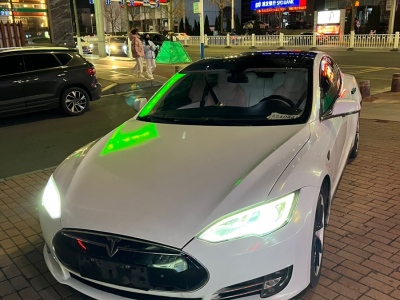 2014年10月 特斯拉 Model S Model S P85圖片