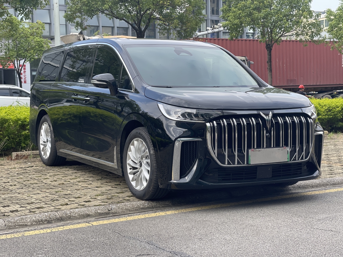 嵐圖 夢想家  2024款 PHEV 超長續(xù)航尊貴版圖片