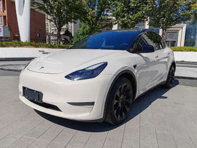 2021年08月 特斯拉 Model 3 长续航全轮驱动版 3D7图片