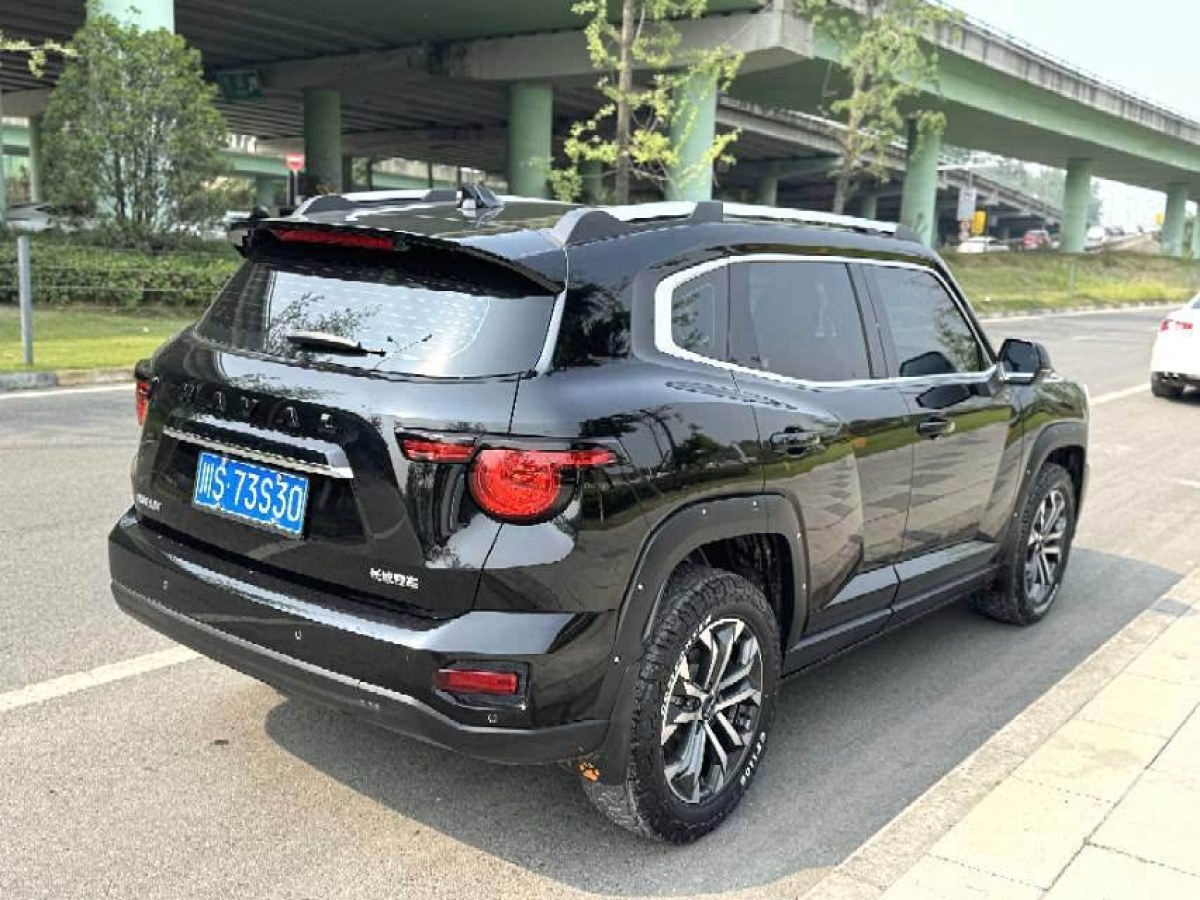 哈弗 哈弗二代大狗  2023款 1.5T 兩驅潮野版Plus圖片