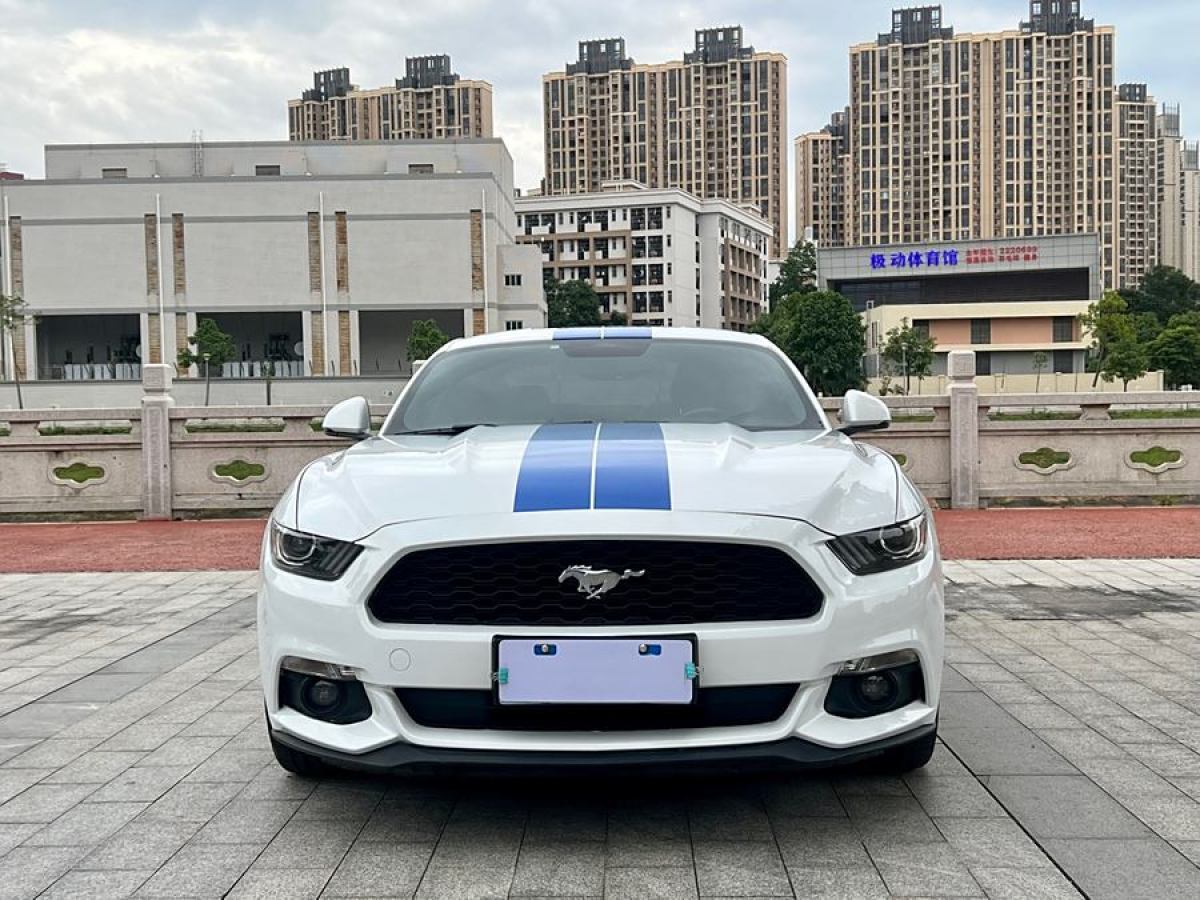 福特 Mustang  2016款 2.3T 性能版圖片