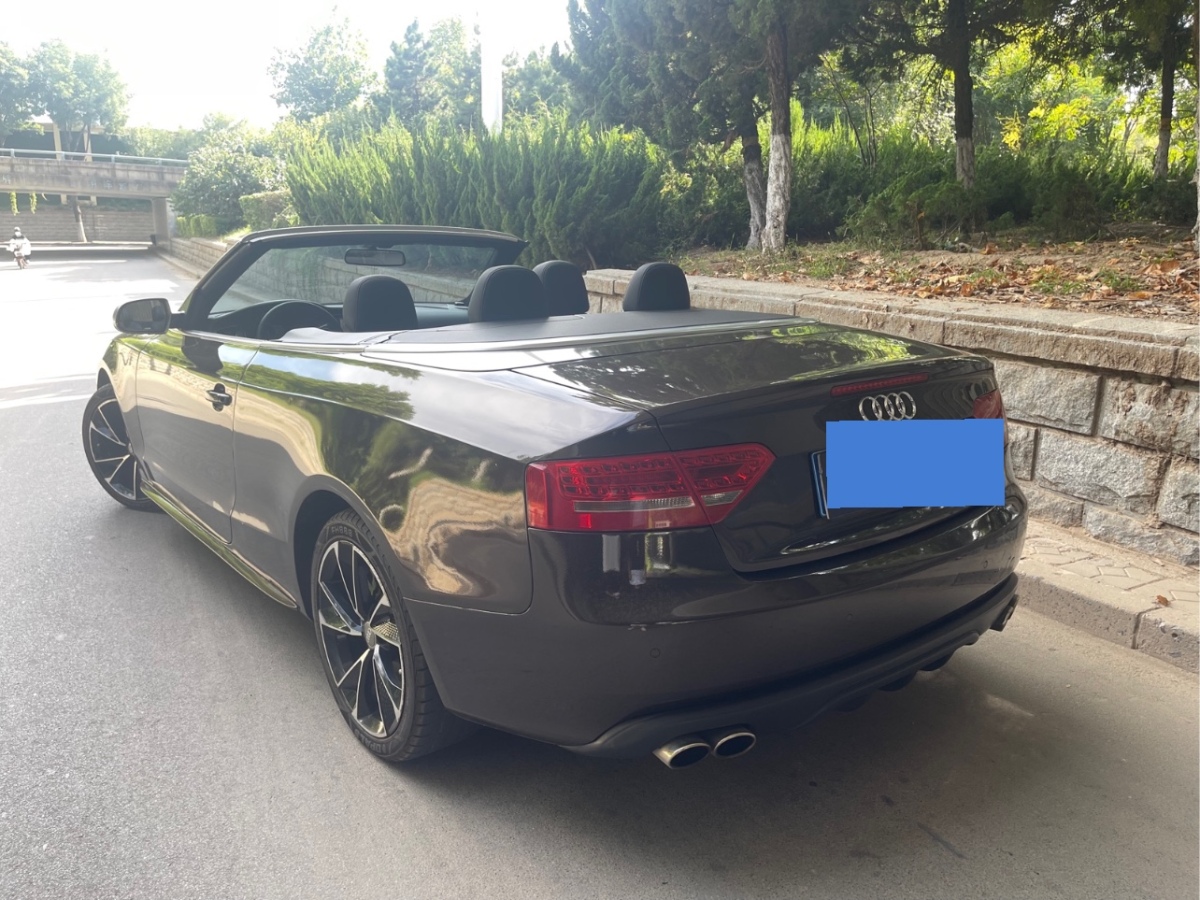 奧迪 奧迪a5 2010款 2.0tfsi cabriolet圖片