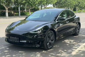 Model 3 特斯拉 改款 標準續(xù)航后驅(qū)升級版