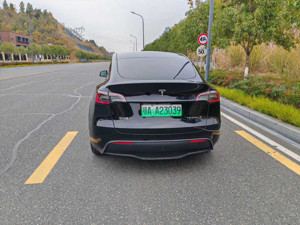 特斯拉 Model 3  2020款 改款 長續(xù)航后輪驅(qū)動版圖片