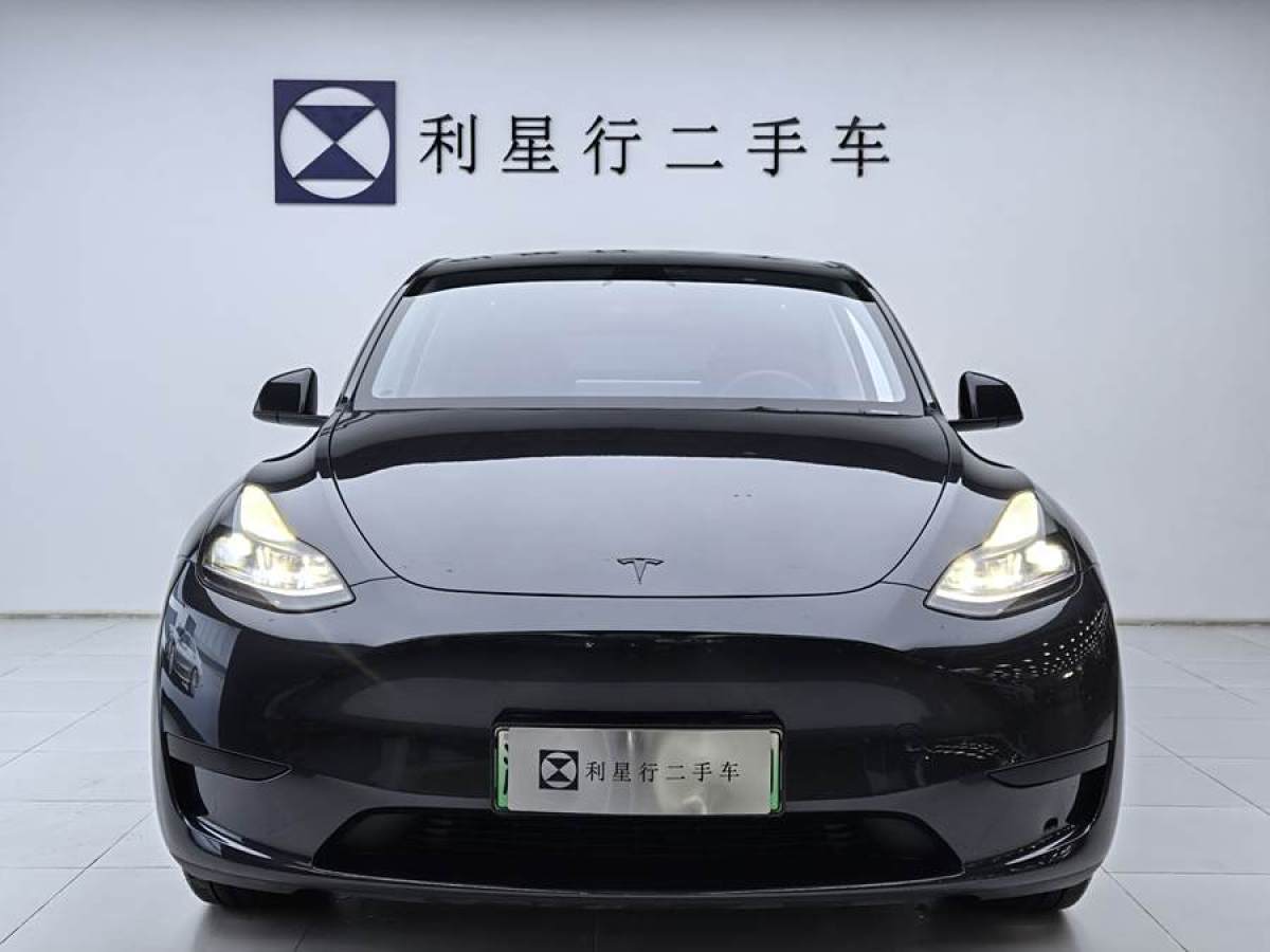 特斯拉 Model Y  2020款 改款 長續(xù)航后輪驅(qū)動版圖片