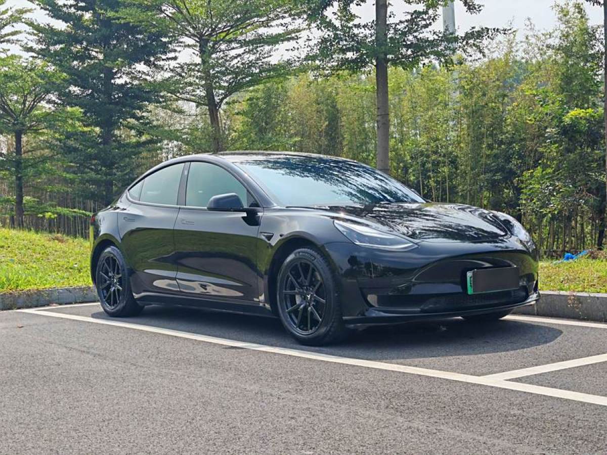 特斯拉 Model Y  2020款 改款 標(biāo)準(zhǔn)續(xù)航后驅(qū)升級(jí)版圖片