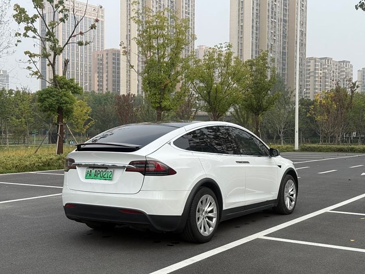 2021年1月特斯拉 Model X  2020款 長(zhǎng)續(xù)航升級(jí)版