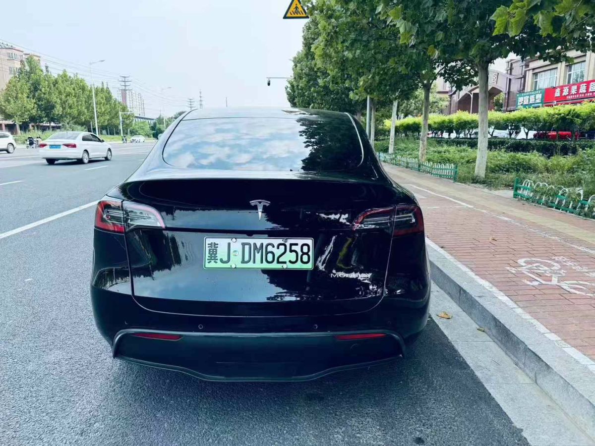 特斯拉 Model Y  2022款 Performance高性能全輪驅(qū)動(dòng)版圖片