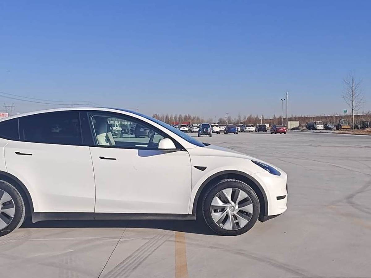 特斯拉 Model 3  2022款 后輪驅(qū)動版圖片