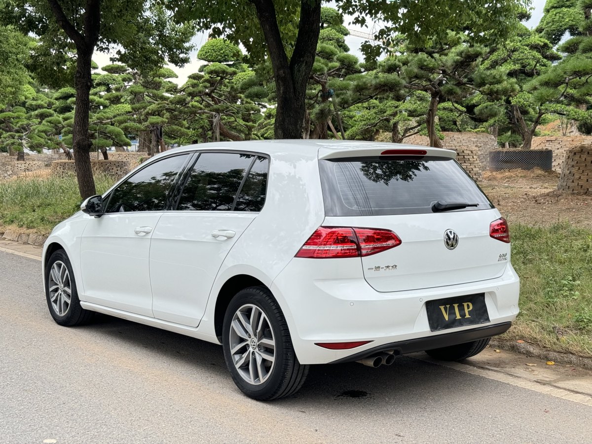 大众 高尔夫  2016款 230TSI 自动豪华型图片