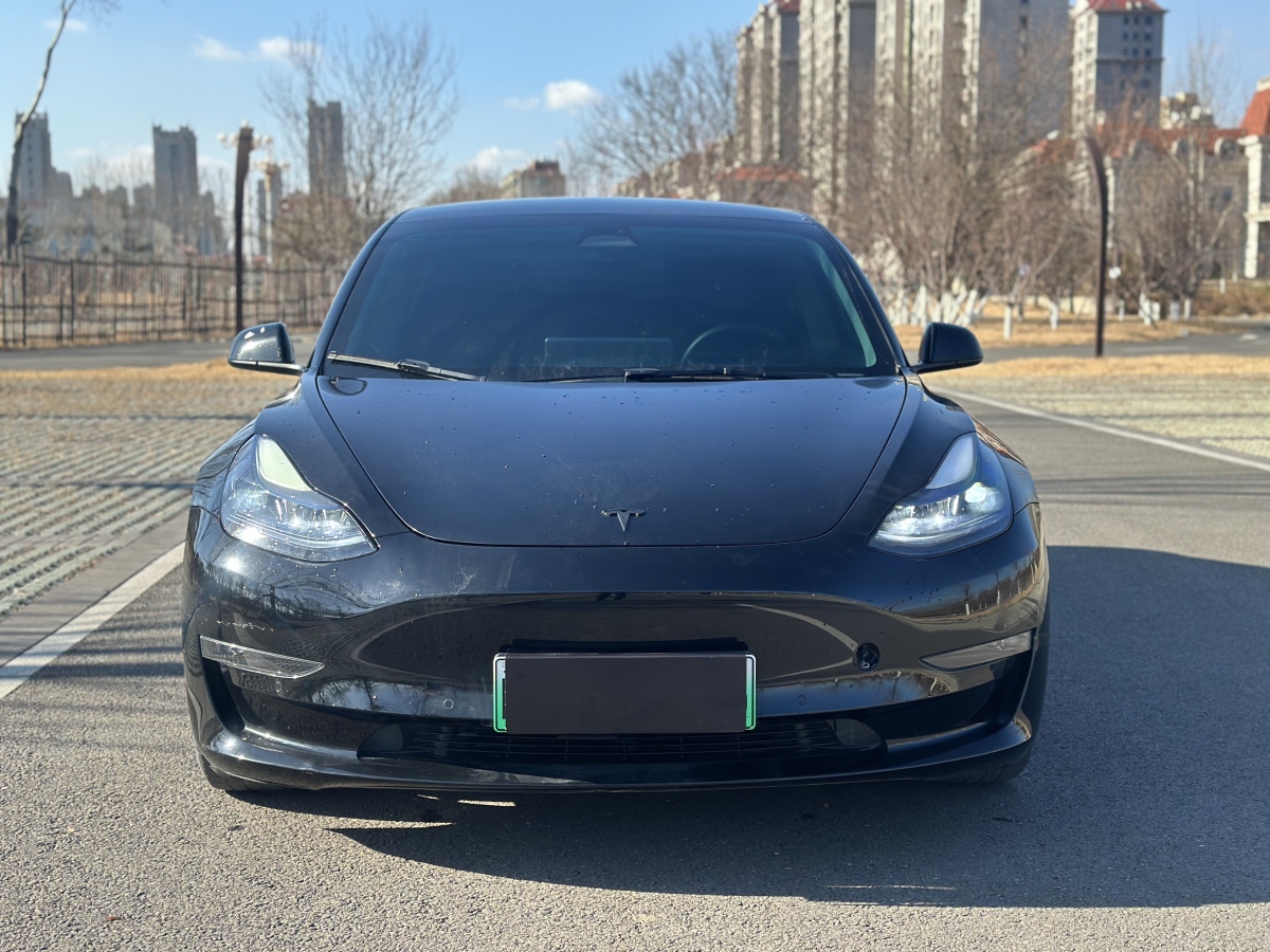 2022年5月特斯拉 Model Y  2022款 Performance高性能全輪驅(qū)動版