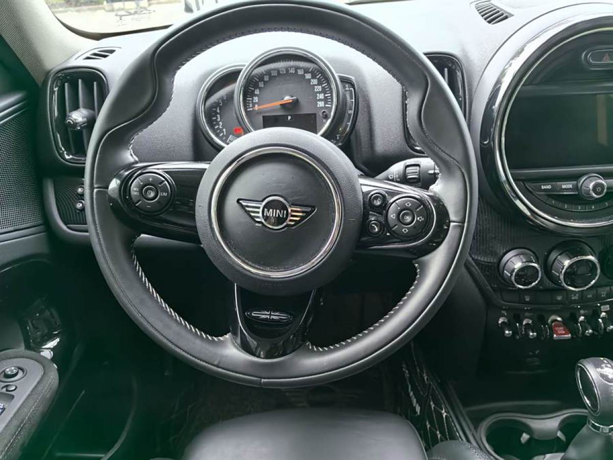 MINI COUNTRYMAN  2018款 2.0T COOPER S ALL4 藝術(shù)家圖片