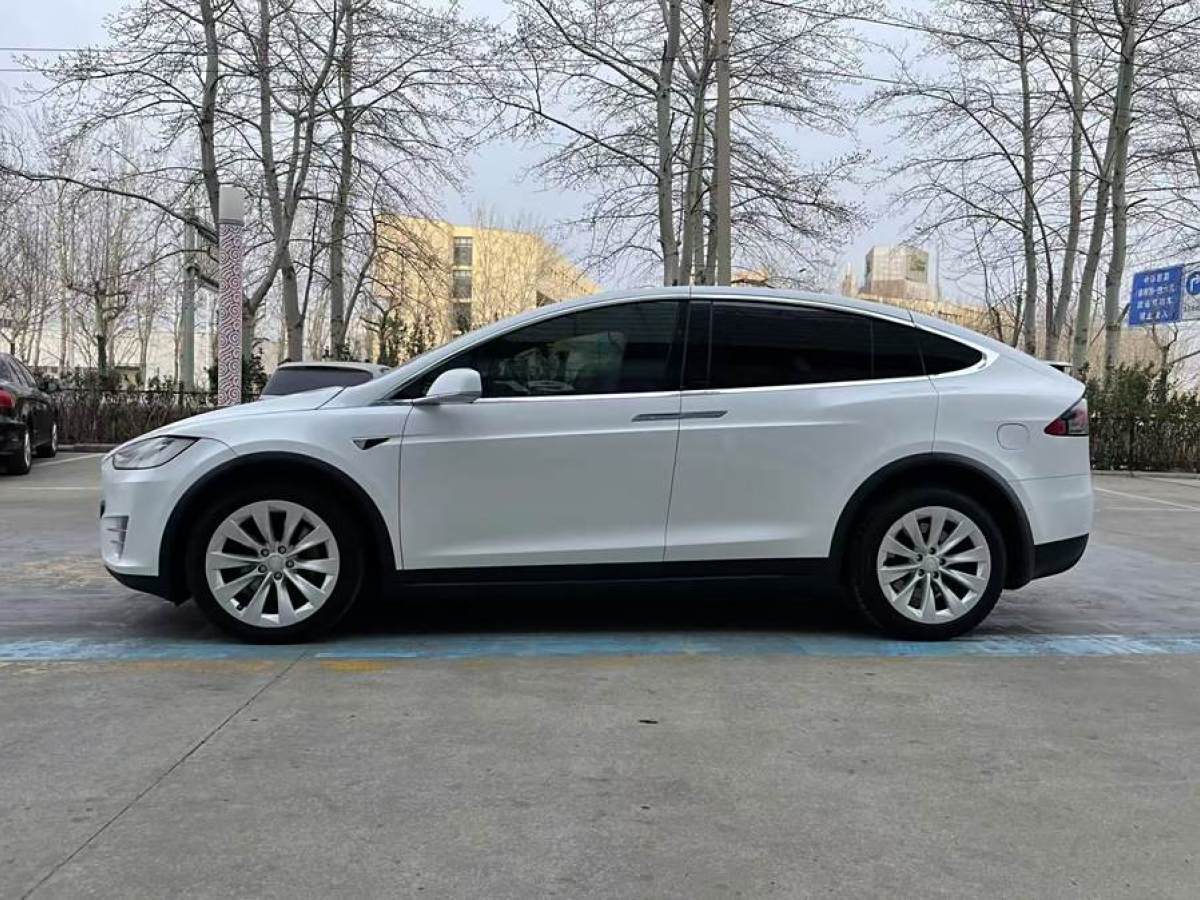 2019年4月特斯拉 Model X  2017款 Model X 100D 長續(xù)航版