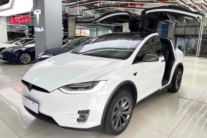 Model X 特斯拉 长续航版