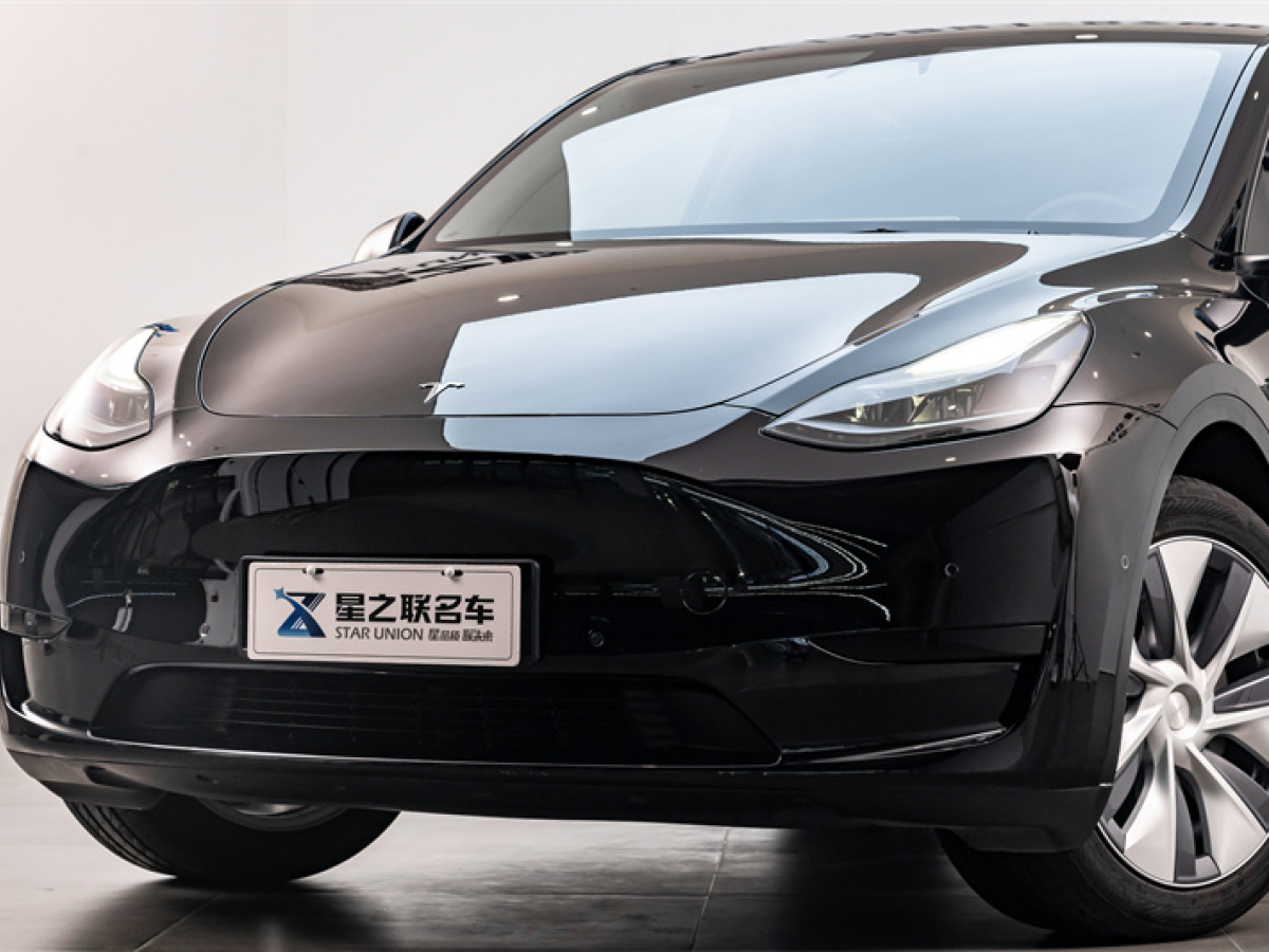 2022年3月特斯拉 Model Y  2022款 后輪驅(qū)動版