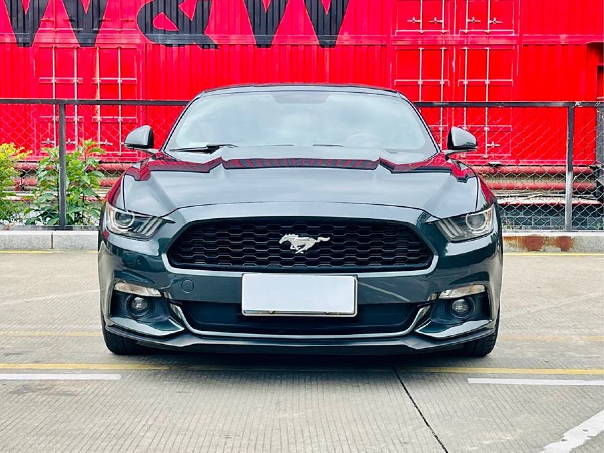 福特 Mustang  2015款 2.3T 性能版圖片