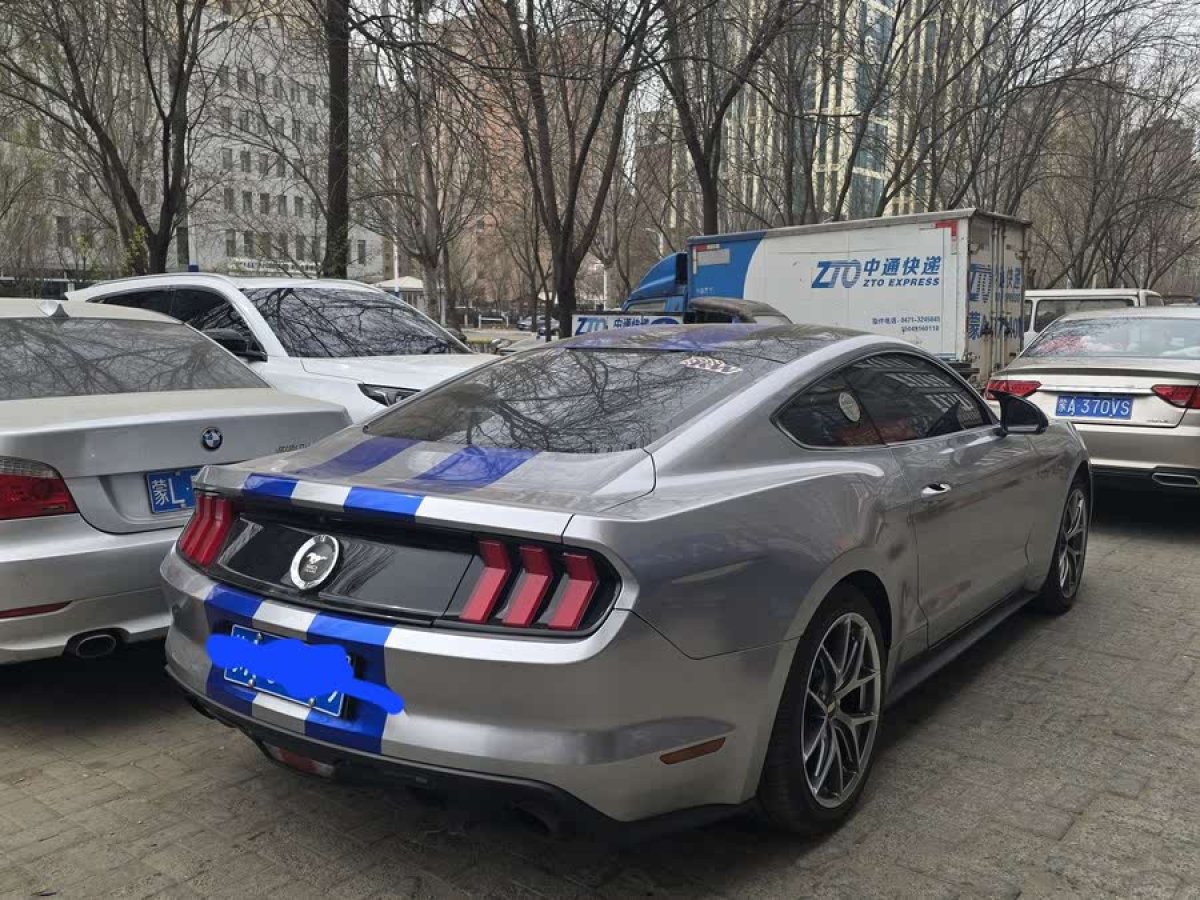 福特 Mustang  2015款 2.3T 性能版圖片