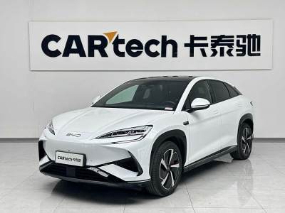 2024年7月 比亞迪 海獅07 EV 610智航版圖片