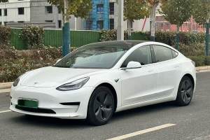 Model 3 特斯拉 改款 標(biāo)準(zhǔn)續(xù)航后驅(qū)升級(jí)版