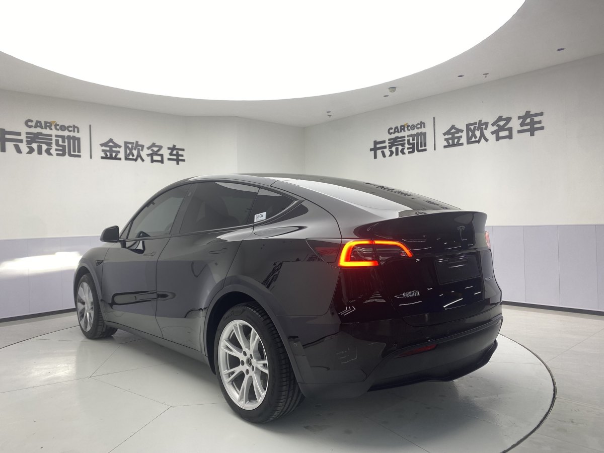 特斯拉 Model 3  2020款 改款 長續(xù)航后輪驅(qū)動(dòng)版圖片