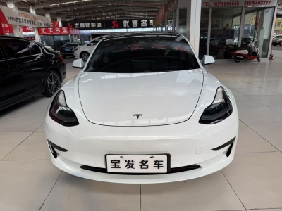 2021年6月 特斯拉 Model 3 標(biāo)準(zhǔn)續(xù)航后驅(qū)升級(jí)版圖片