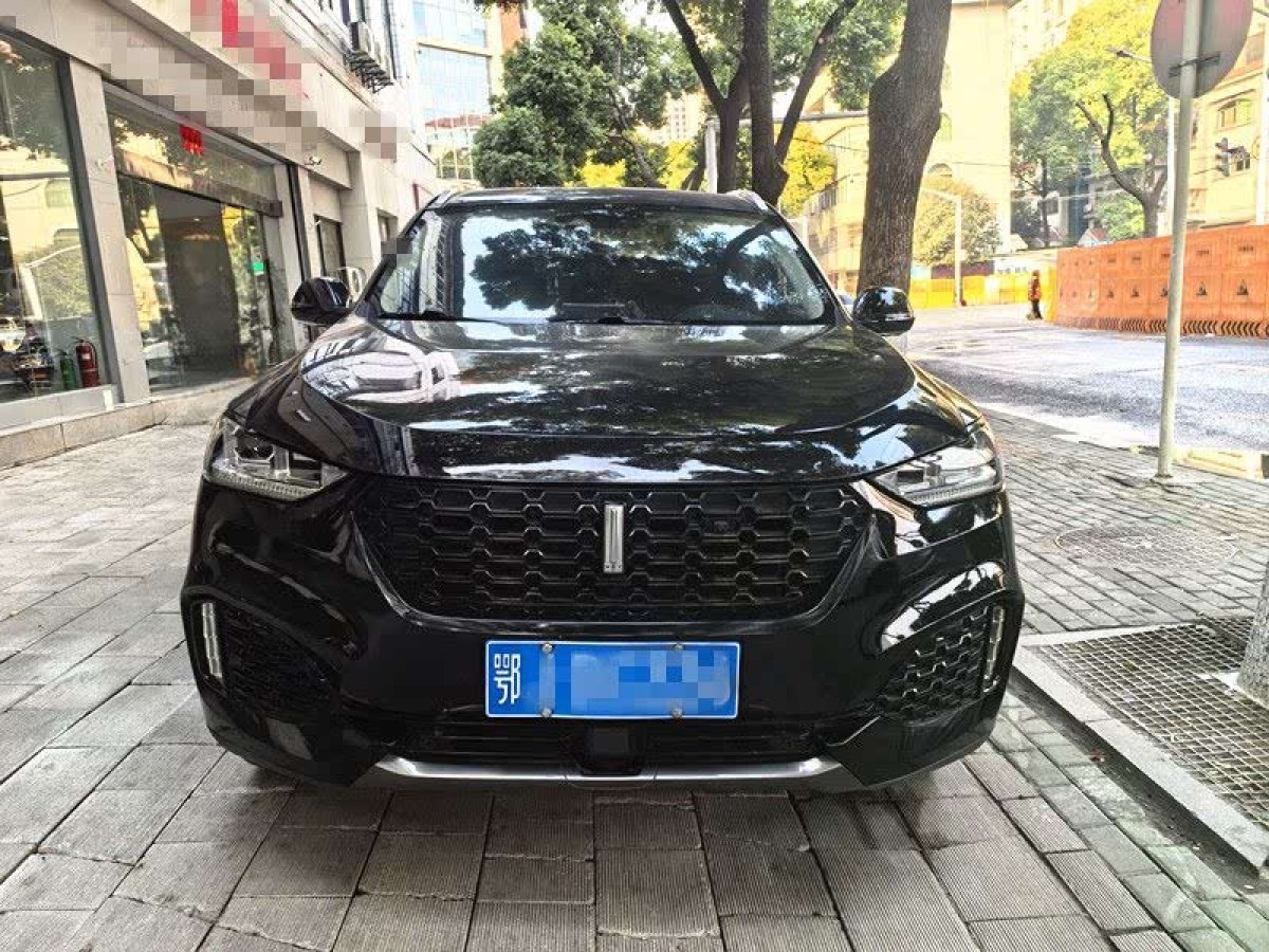 WEY VV5  2019款  升級款 2.0T 兩驅超豪型 國VI圖片