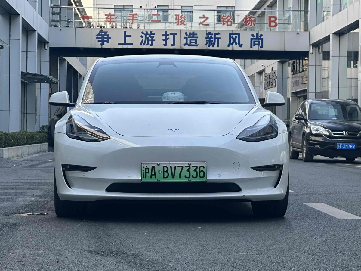 特斯拉 Model 3  2019款 Performance高性能全輪驅(qū)動版圖片