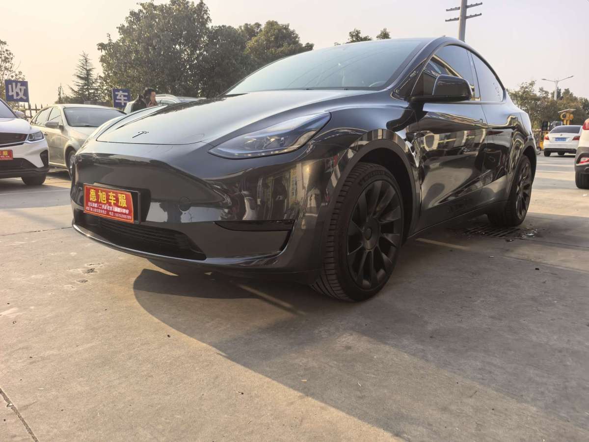 特斯拉 Model Y  2024款 后輪驅(qū)動(dòng)版圖片