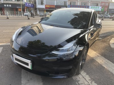 2020年7月 特斯拉 Model 3 改款 長續(xù)航后輪驅(qū)動版圖片