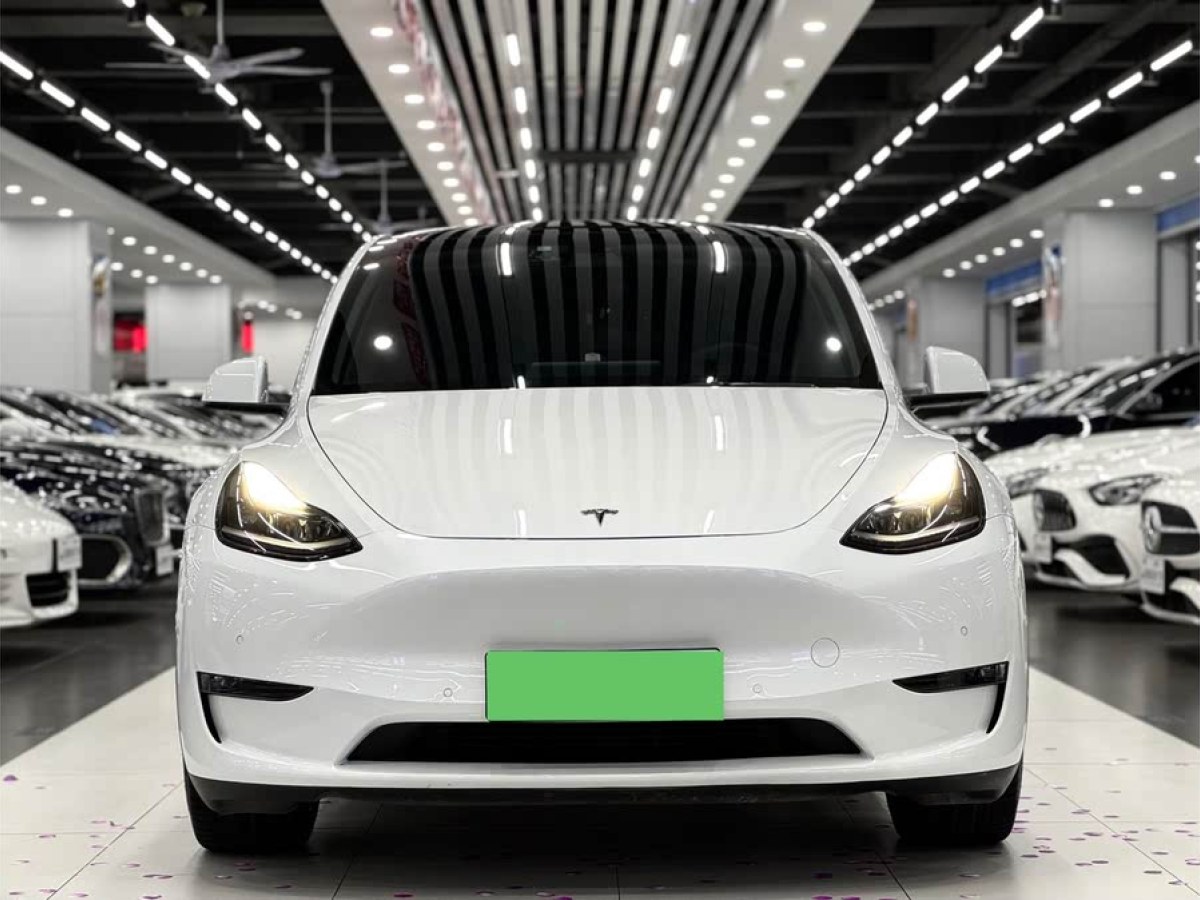 特斯拉 Model Y  2021款 長續(xù)航全輪驅(qū)動版 3D7圖片