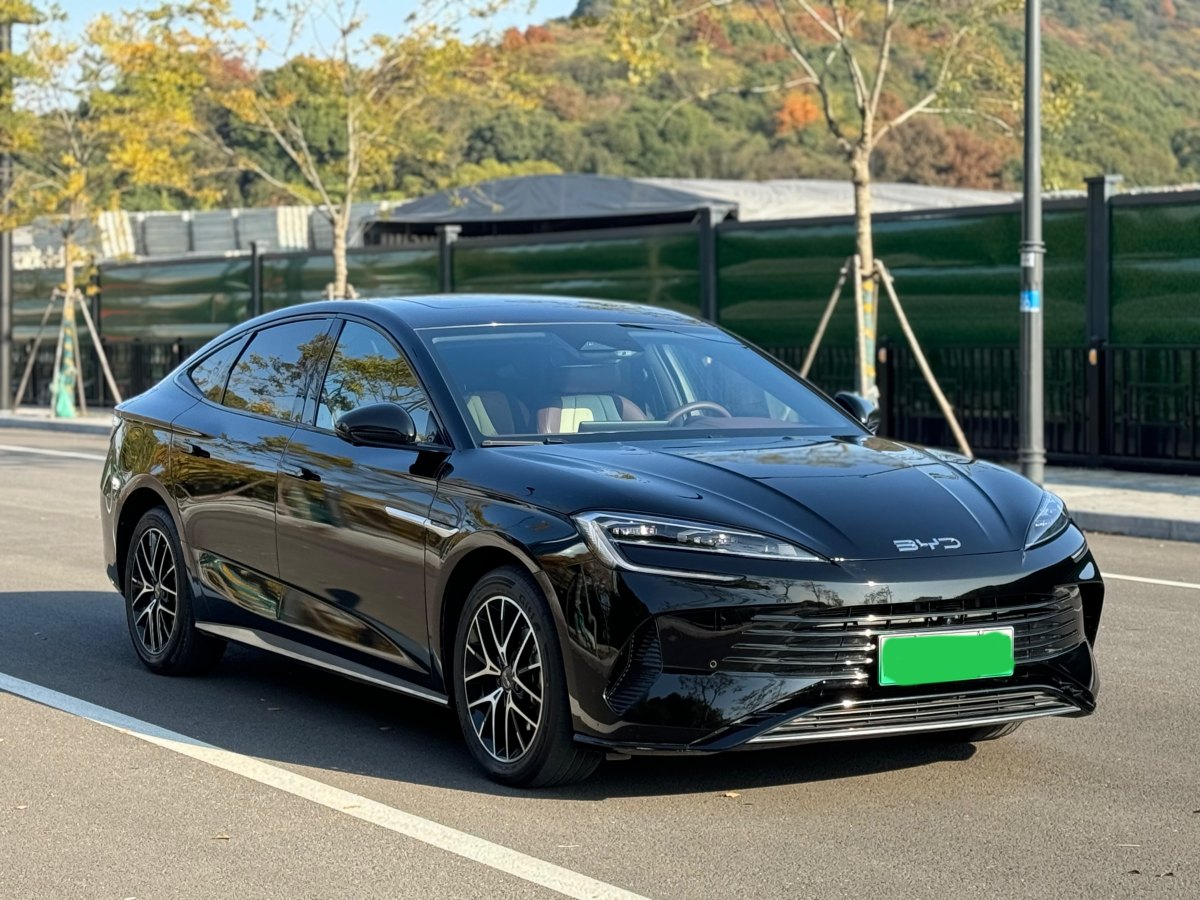 比亞迪 海豹  2023款 DM-i 1.5L 121km 尊貴型圖片