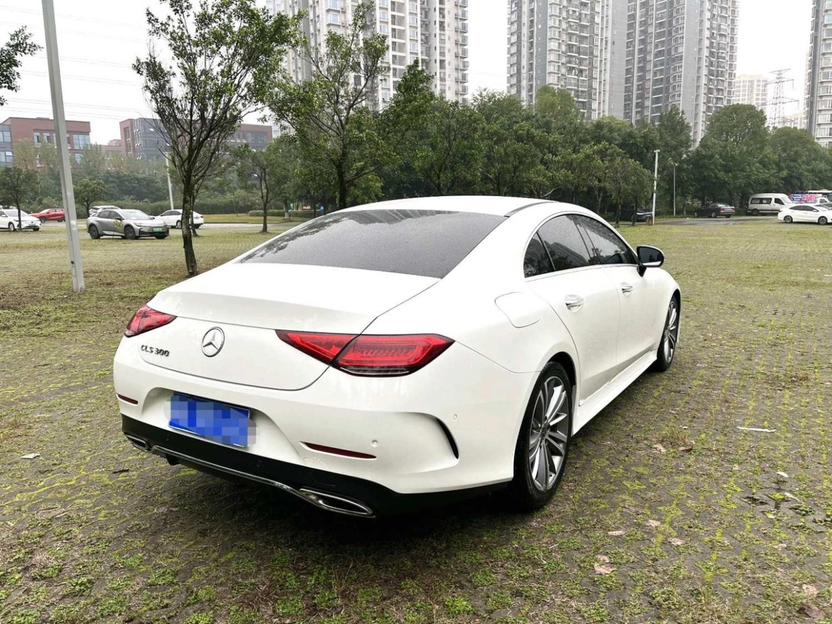 奔馳 奔馳CLS級  2018款 CLS 300 動感型圖片