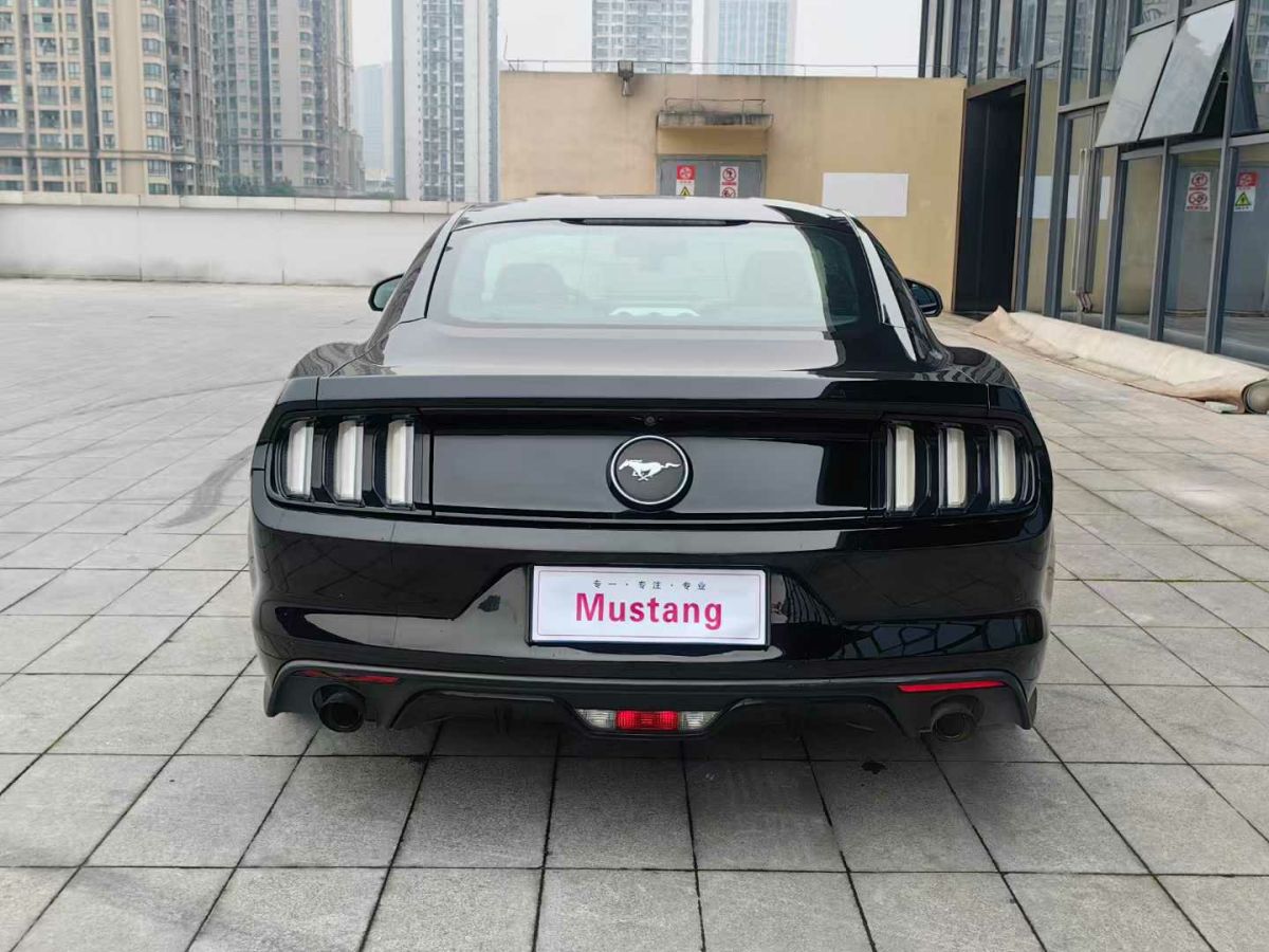 福特 Mustang  2016款 2.3T 性能版圖片