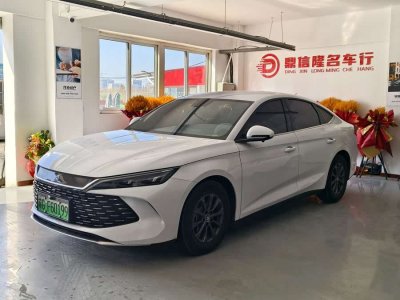 2024年7月 比亞迪 秦L DM-i 80KM領(lǐng)先型圖片