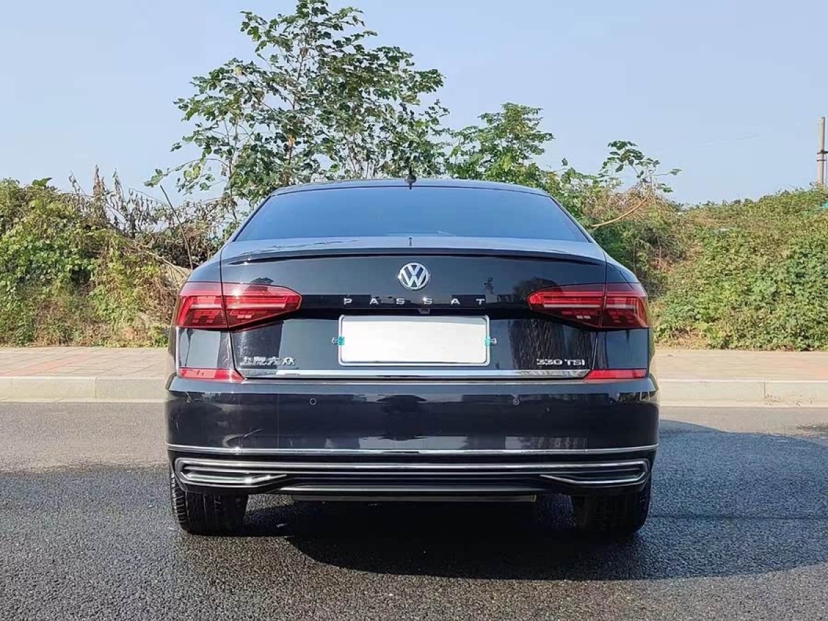 大眾 帕薩特  2019款 330TSI 豪華版 國VI圖片