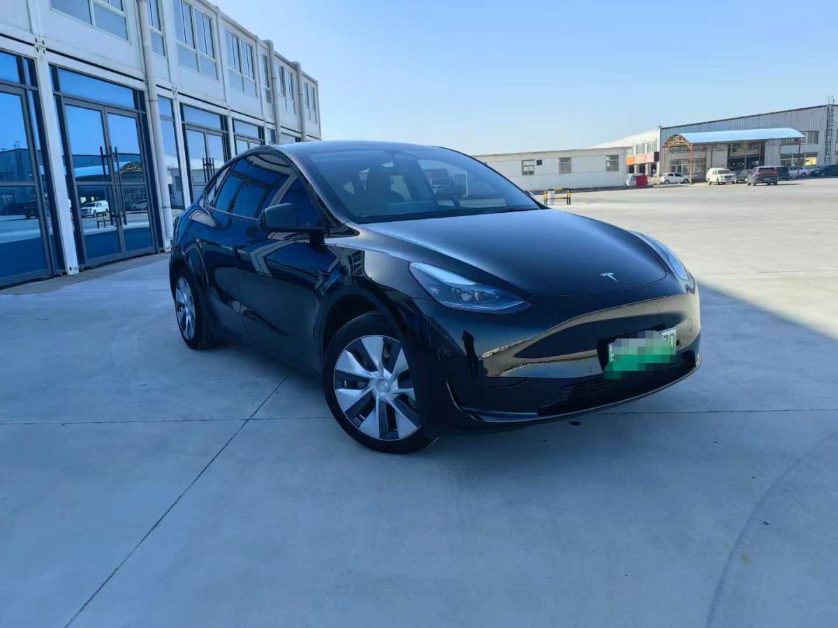 特斯拉 Model Y  2024款 Performance高性能版圖片