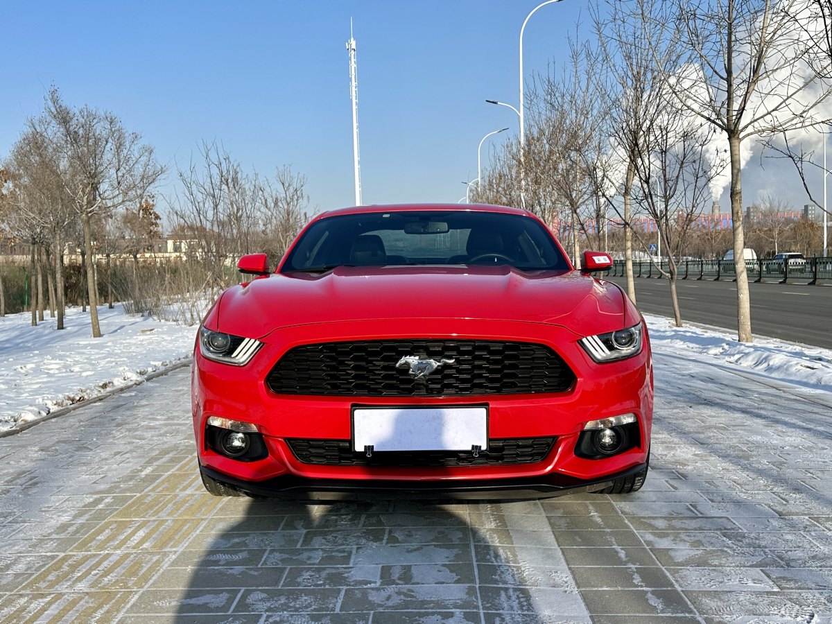 福特 Mustang  2015款 2.3T 性能版圖片