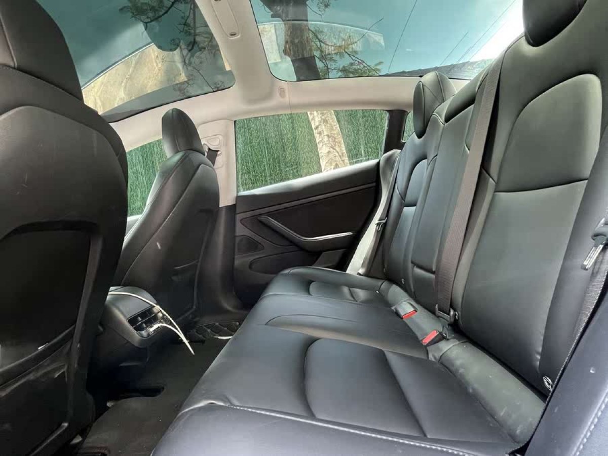 特斯拉 Model 3  2019款 標(biāo)準(zhǔn)續(xù)航后驅(qū)升級版圖片