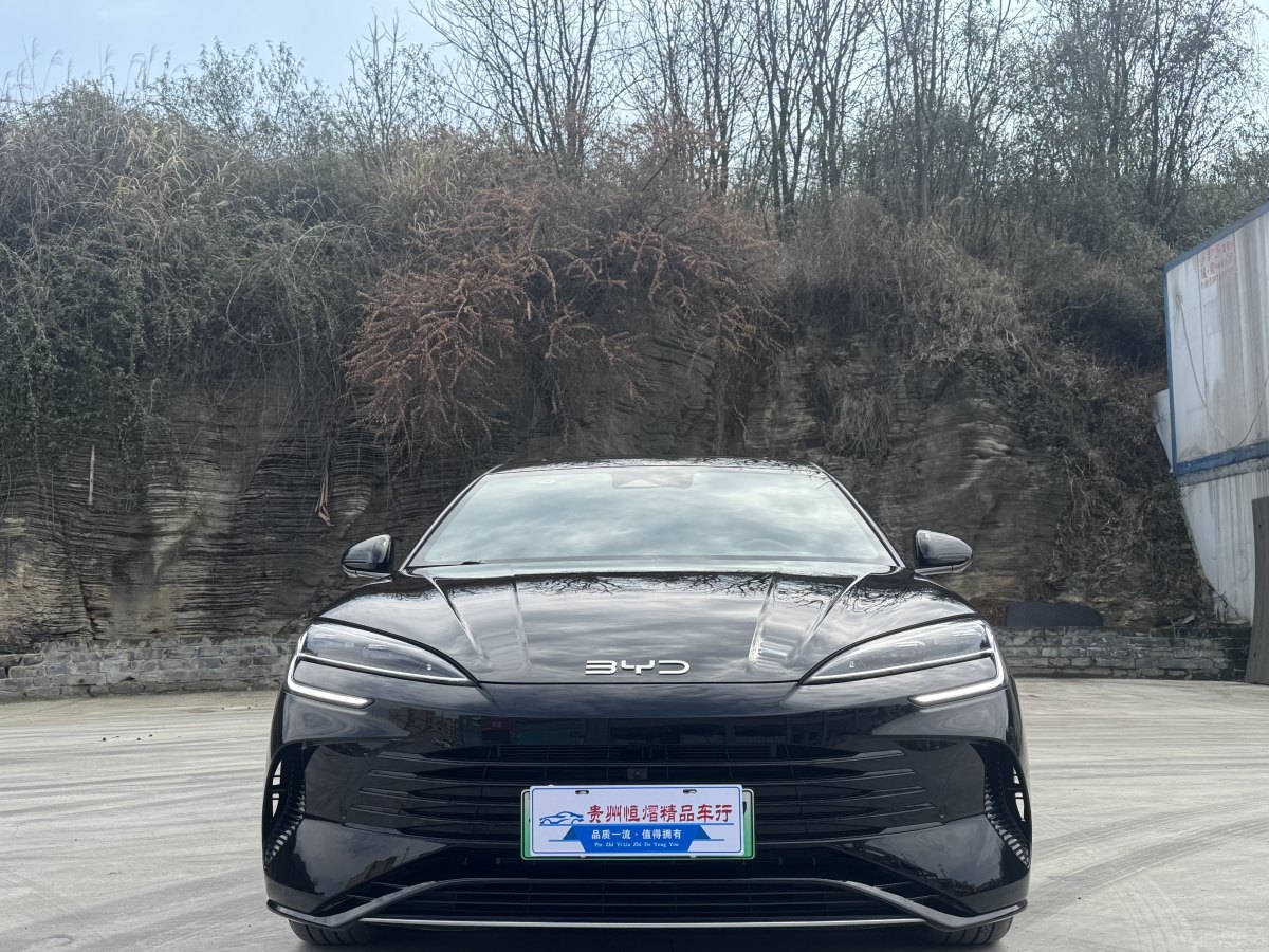 比亞迪 海豹  2023款 DM-i 1.5L 121km 尊貴型圖片