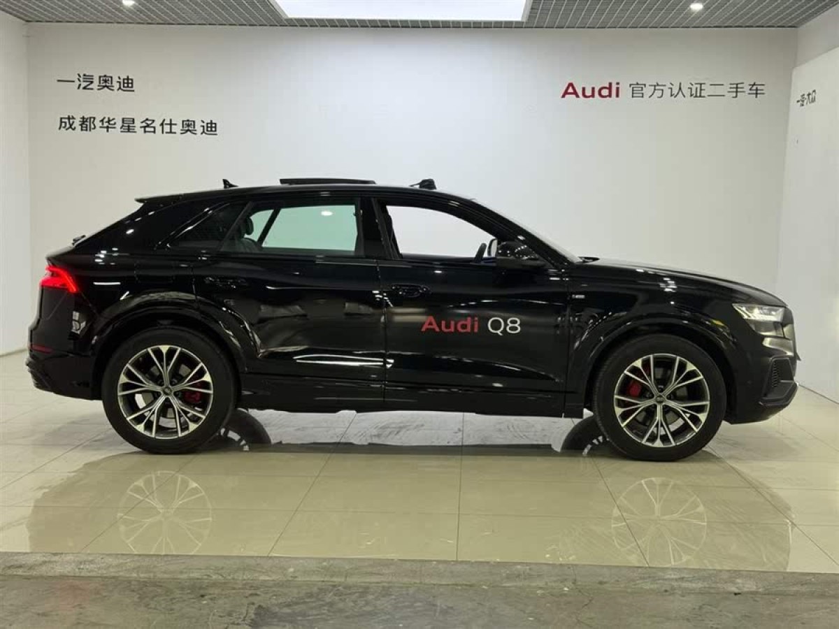 奧迪 奧迪Q8  2023款 45 TFSI 豪華動(dòng)感型圖片