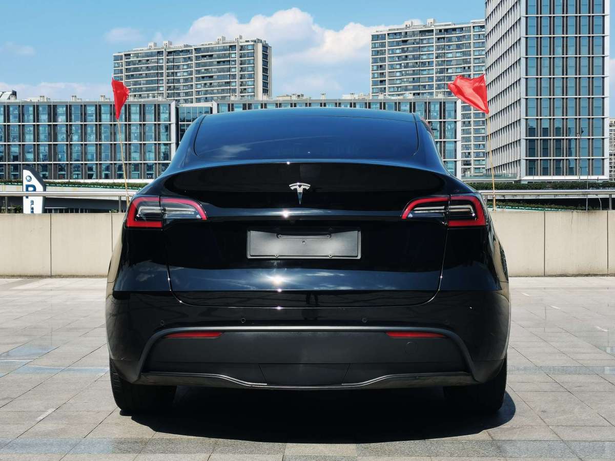 特斯拉 Model Y  2021款 標準續(xù)航后驅升級版 3D6圖片