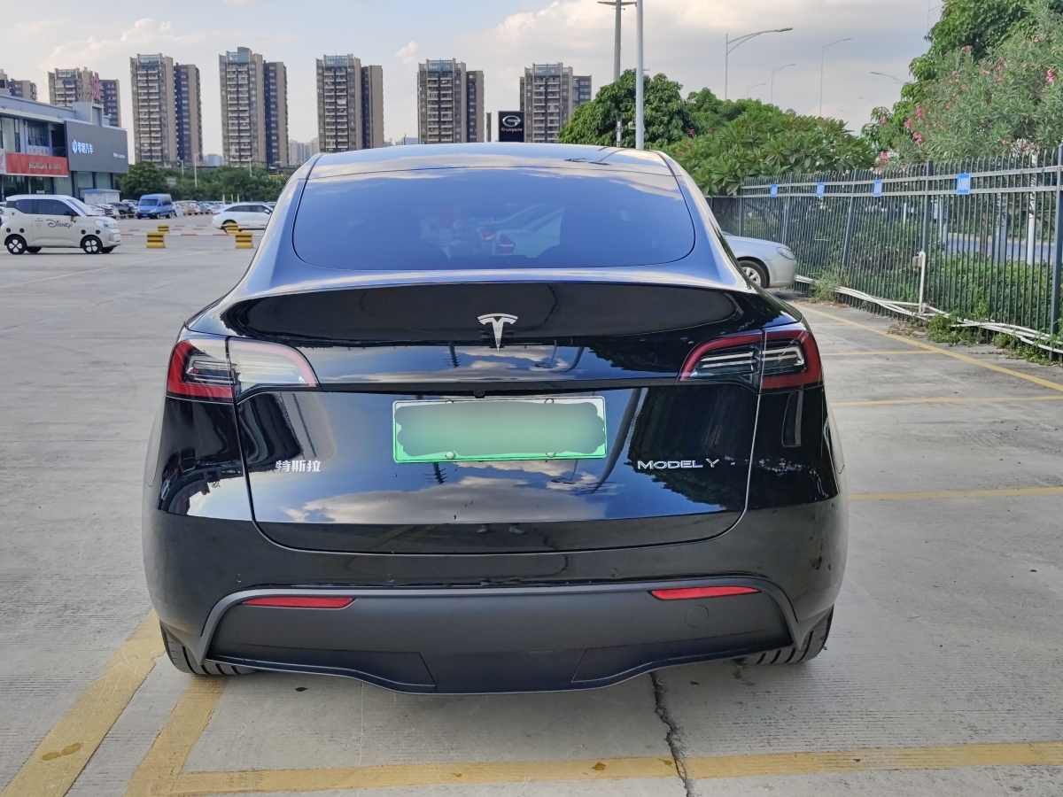 特斯拉 Model 3  2020款 改款 長續(xù)航后輪驅(qū)動版圖片