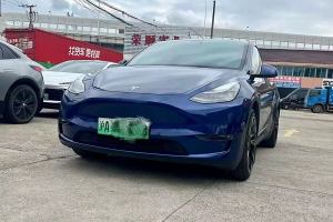 Model Y 特斯拉 改款二 长续航全轮驱动版