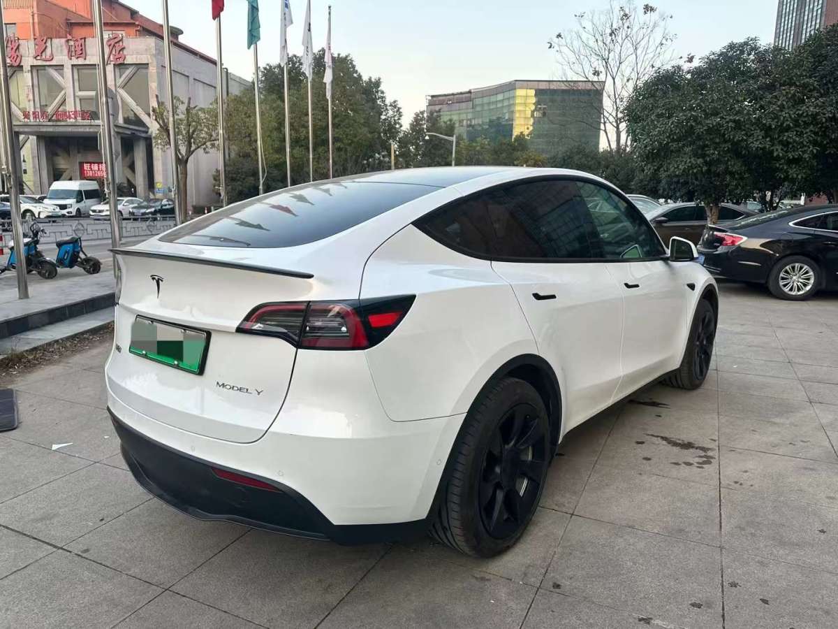 特斯拉 Model Y  2023款 后輪驅(qū)動版圖片