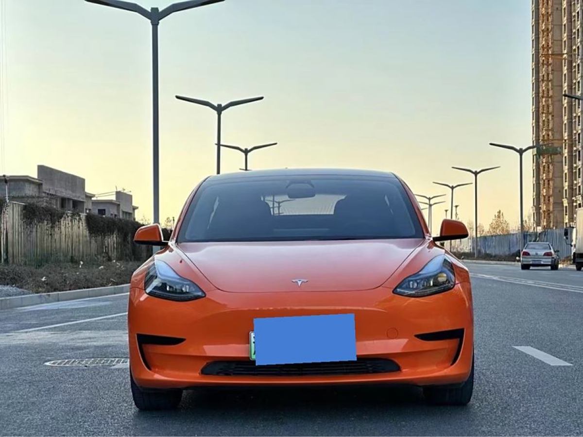 特斯拉 Model 3  2021款 改款 標(biāo)準(zhǔn)續(xù)航后驅(qū)升級版圖片