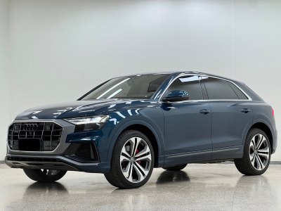 2020年9月 奧迪 奧迪Q8(進口) 55 TFSI 至尊限量版圖片