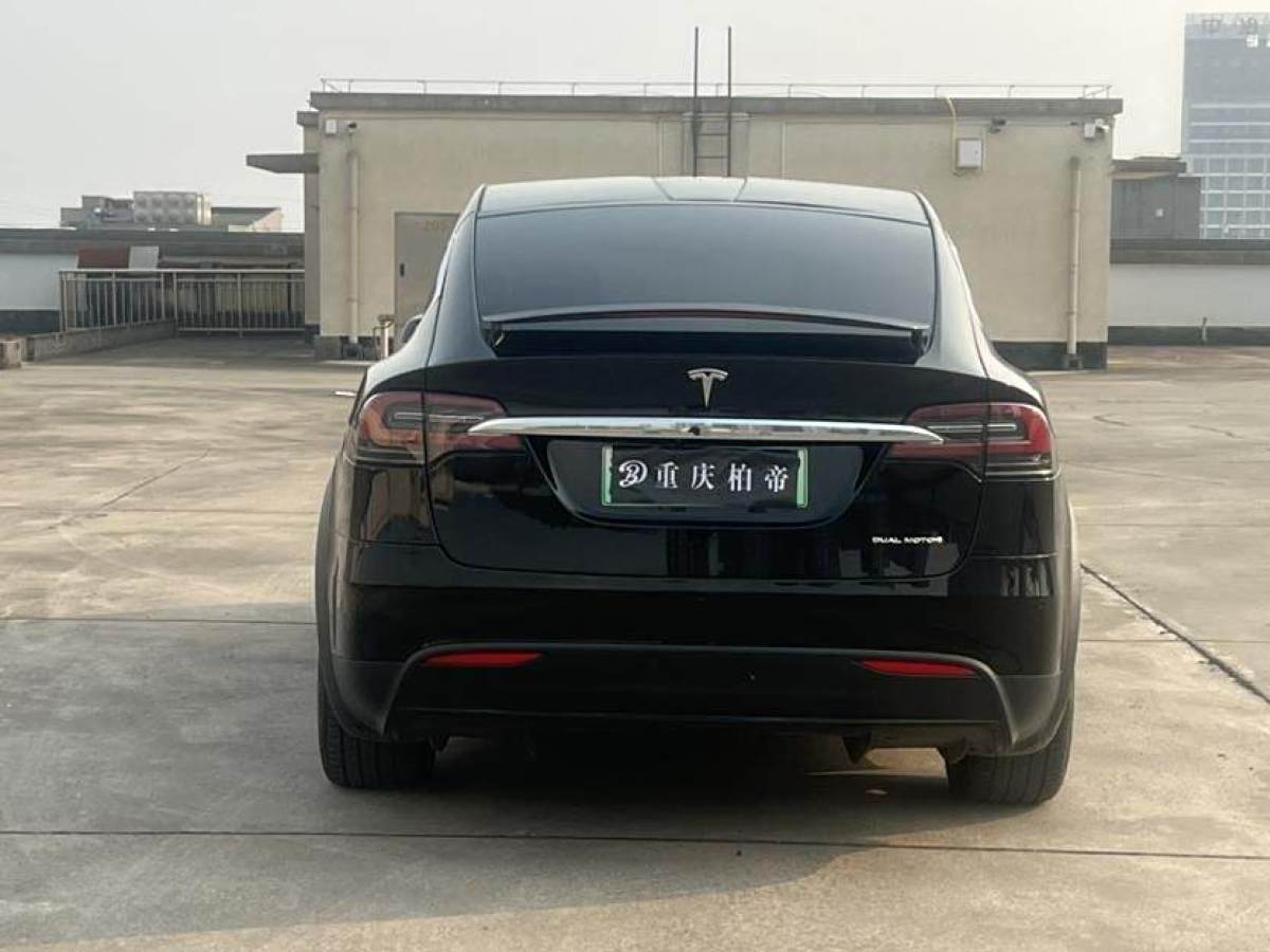 特斯拉 Model X  2020款 長續(xù)航升級版圖片