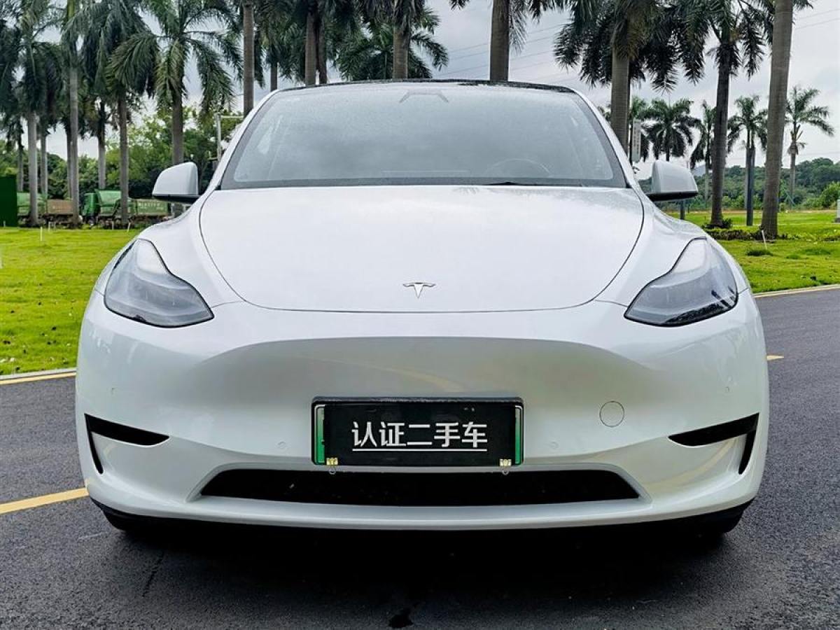 特斯拉 Model 3  2020款 改款 長續(xù)航后輪驅(qū)動版圖片