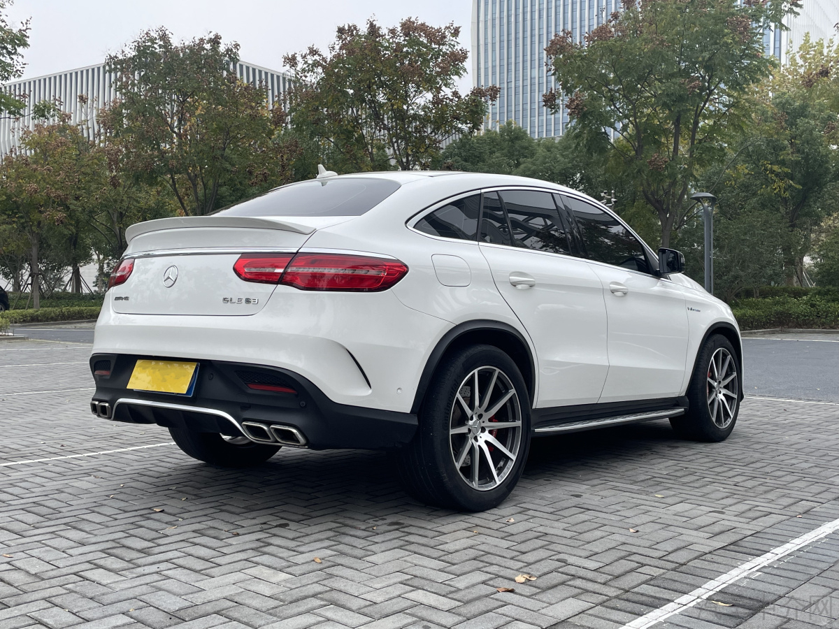 奔驰 奔驰GLE  2018款 GLE 320 4MATIC 动感型臻藏版图片